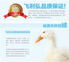 寒冬暖意，浪漫满屋 飞利弘精品特价羽绒被，助您安享舒适睡眠